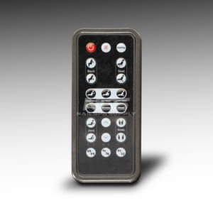 P21 remote control